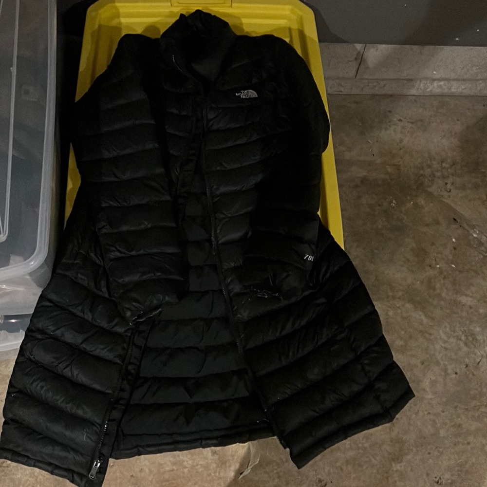 Flawed north face puffer